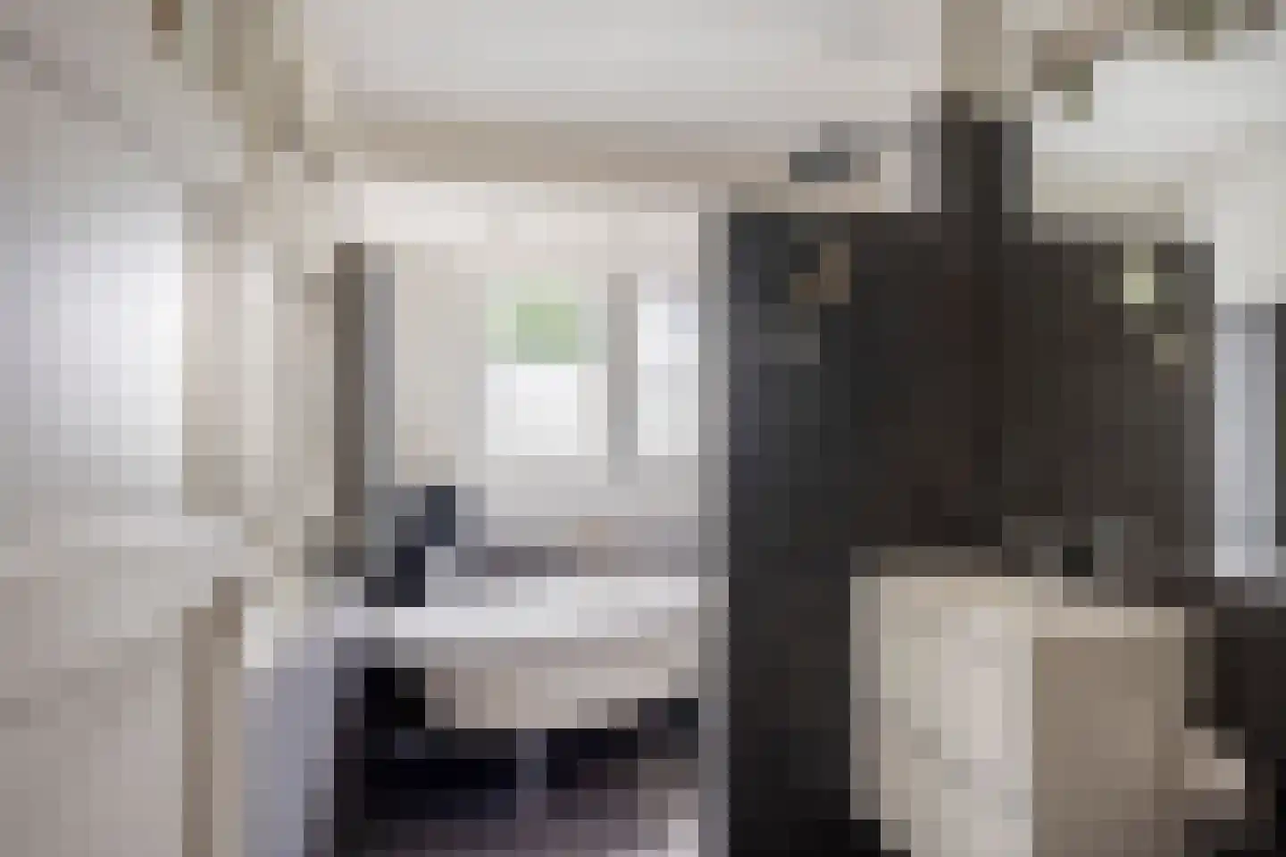 Looierslaan 111 Voorburg thumbnail 27
