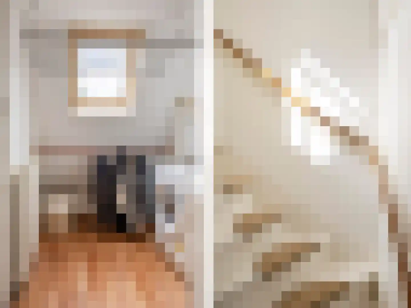 Looierslaan 111 Voorburg thumbnail 29