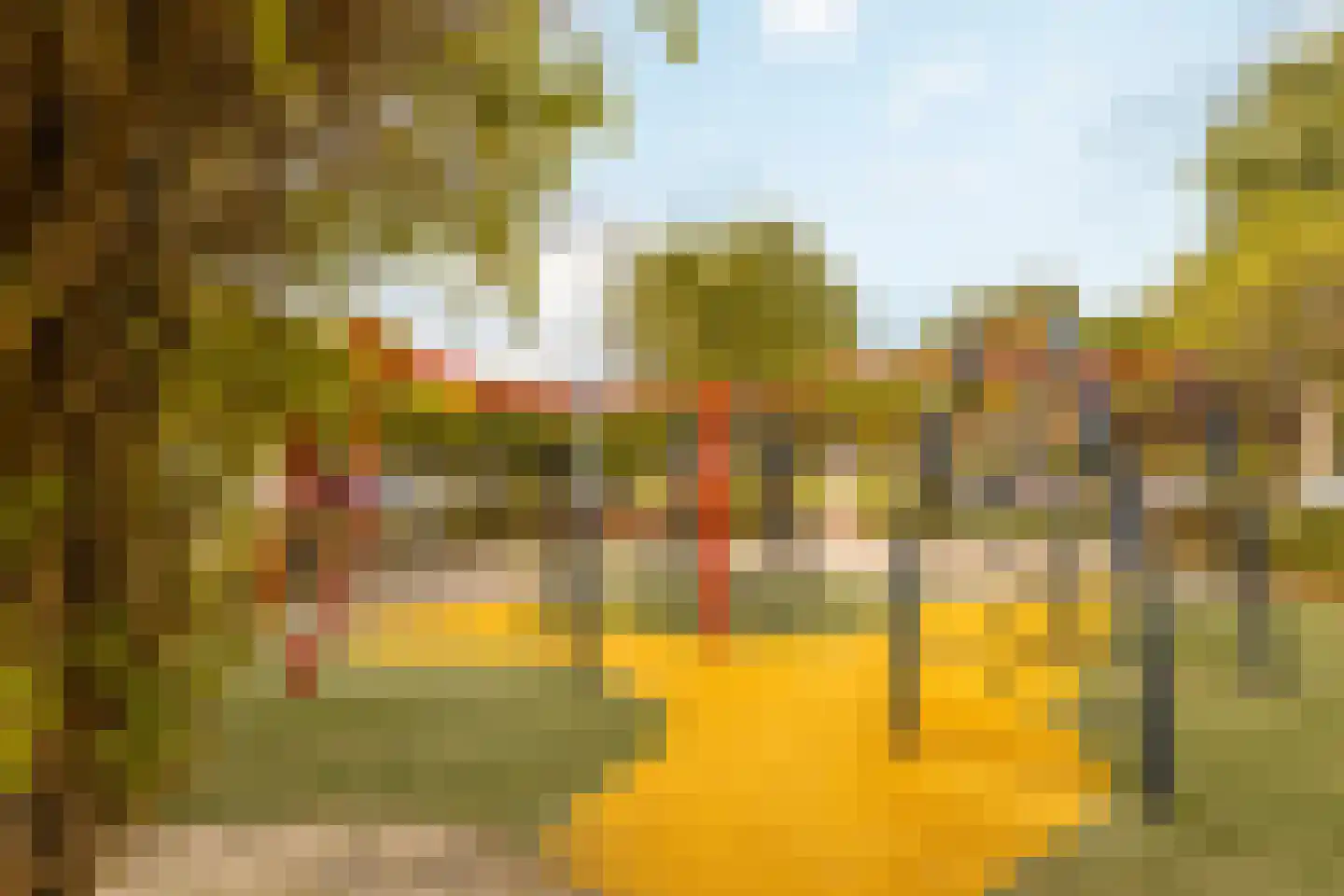 Looierslaan 111 Voorburg thumbnail 32