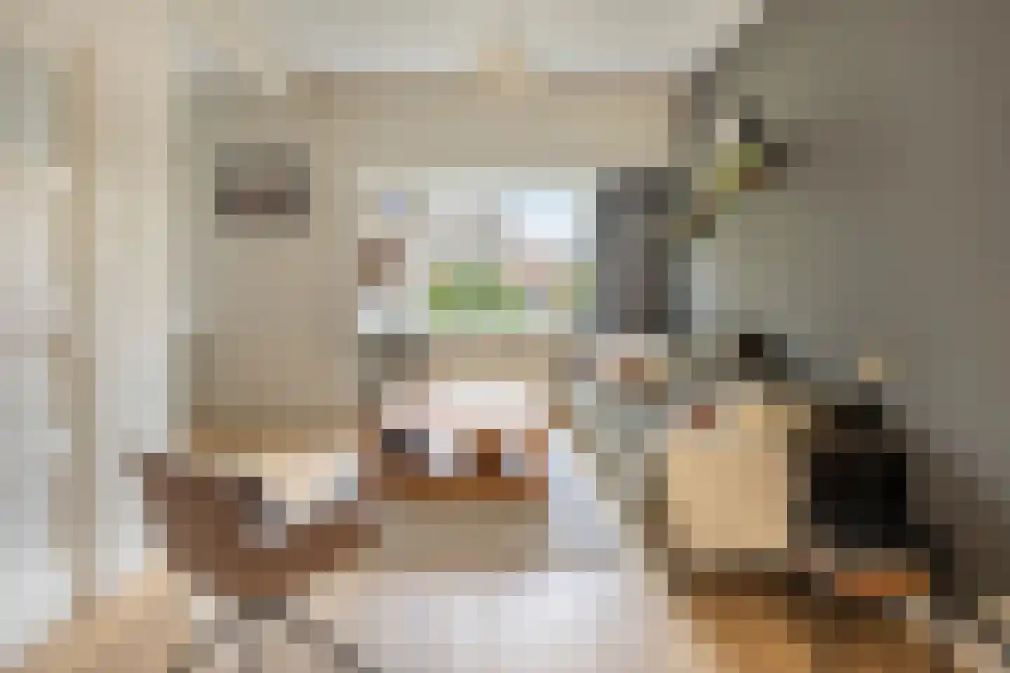 Looierslaan 111 Voorburg thumbnail 9