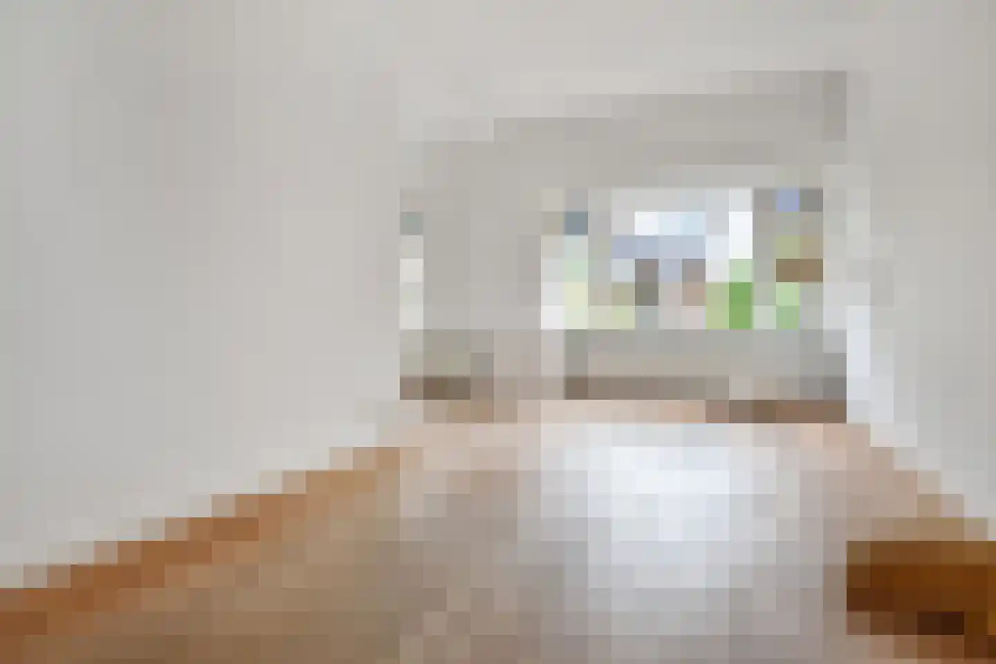 Looierslaan 15 Voorburg thumbnail 11