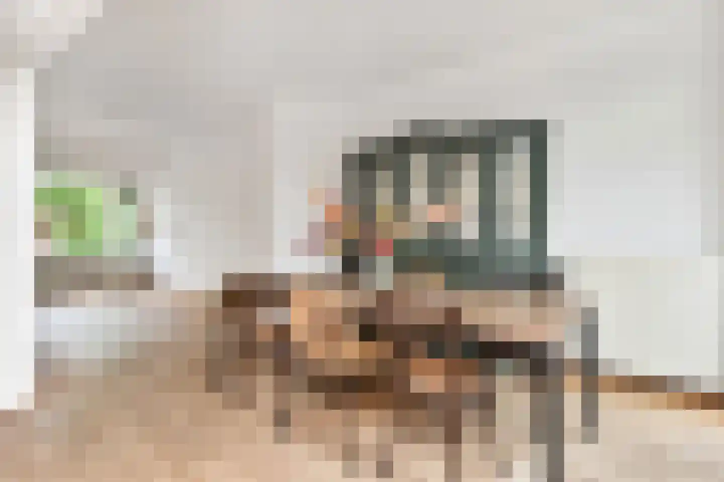 Looierslaan 15 Voorburg thumbnail 15