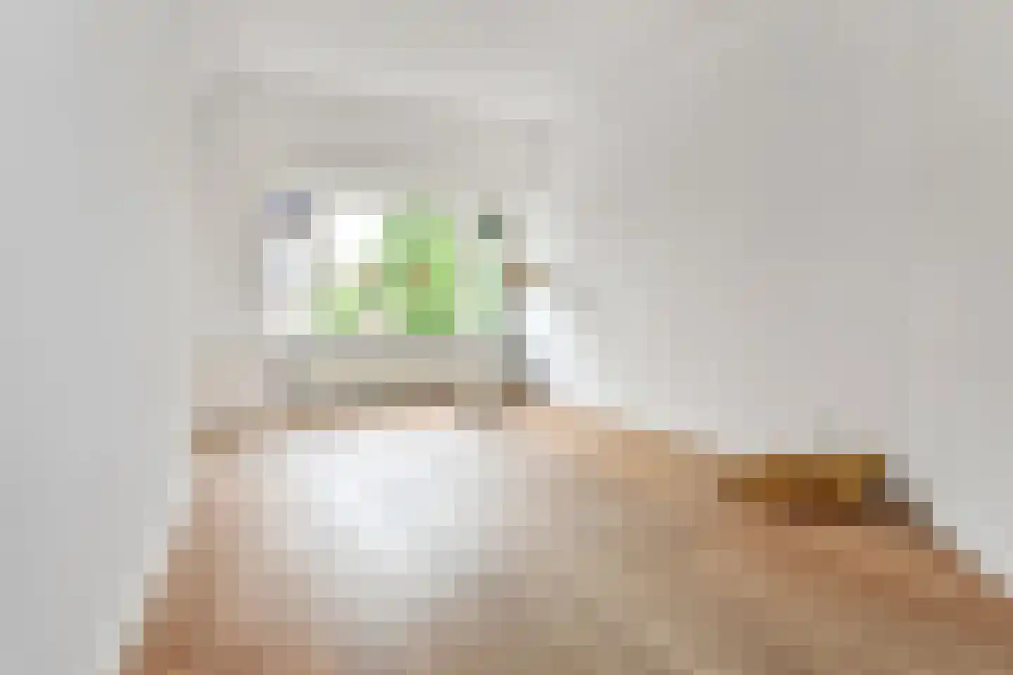Looierslaan 15 Voorburg thumbnail 16