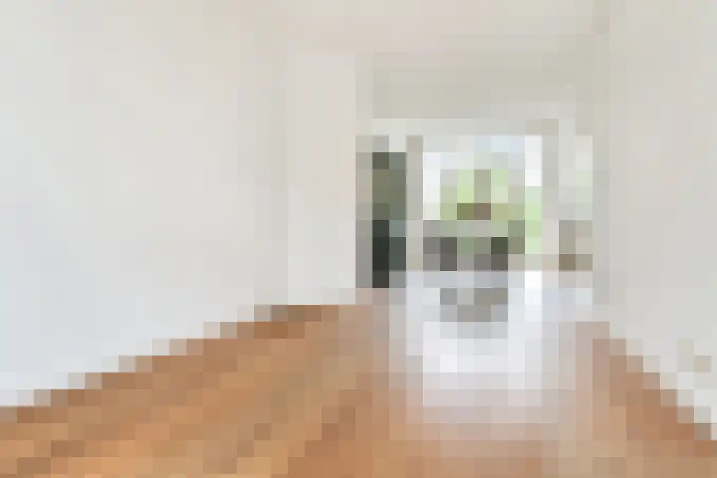 Looierslaan 15 Voorburg thumbnail 20