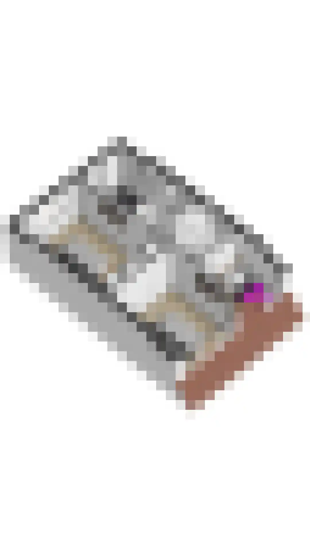 Looierslaan 15 Voorburg thumbnail 27