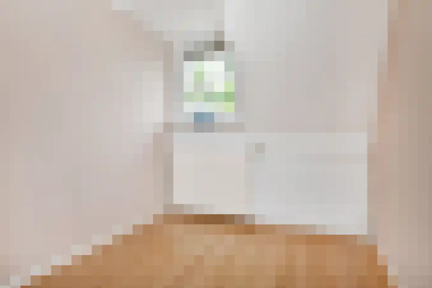 Looierslaan 15 Voorburg thumbnail 32