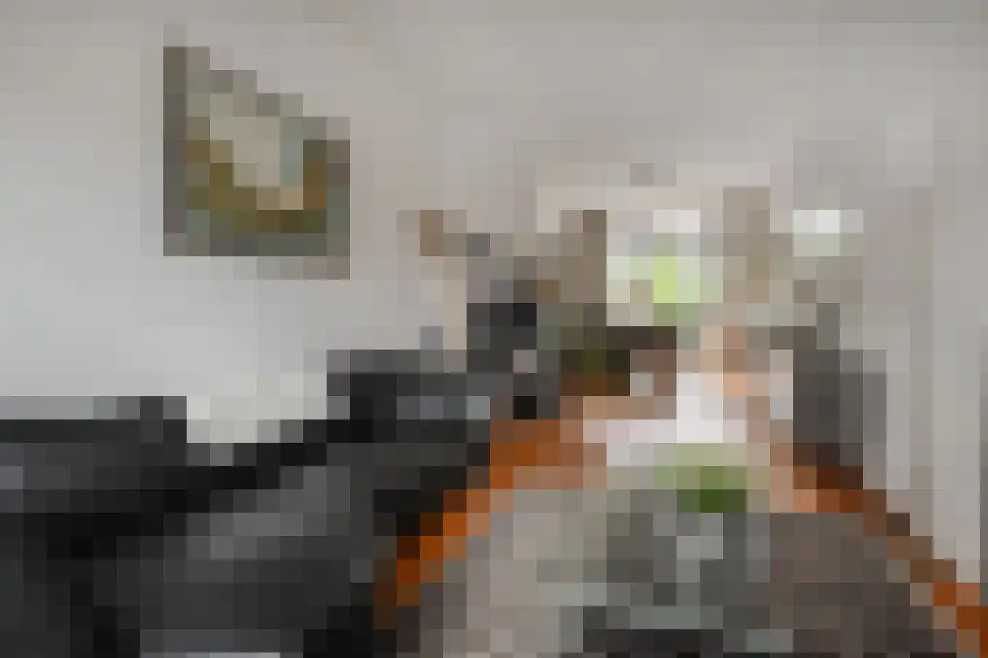 Looierslaan 21 Voorburg thumbnail 11