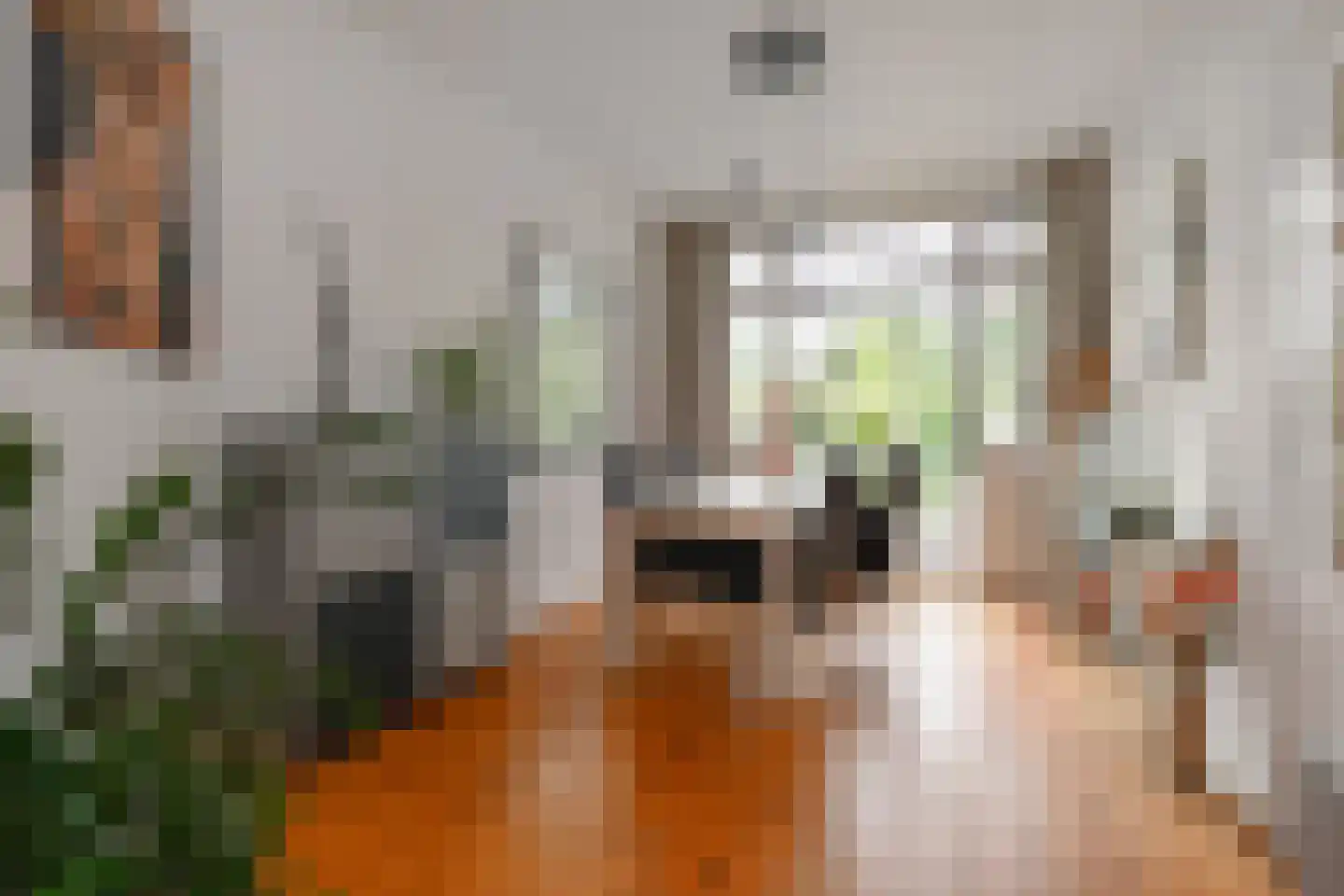 Looierslaan 21 Voorburg thumbnail 12