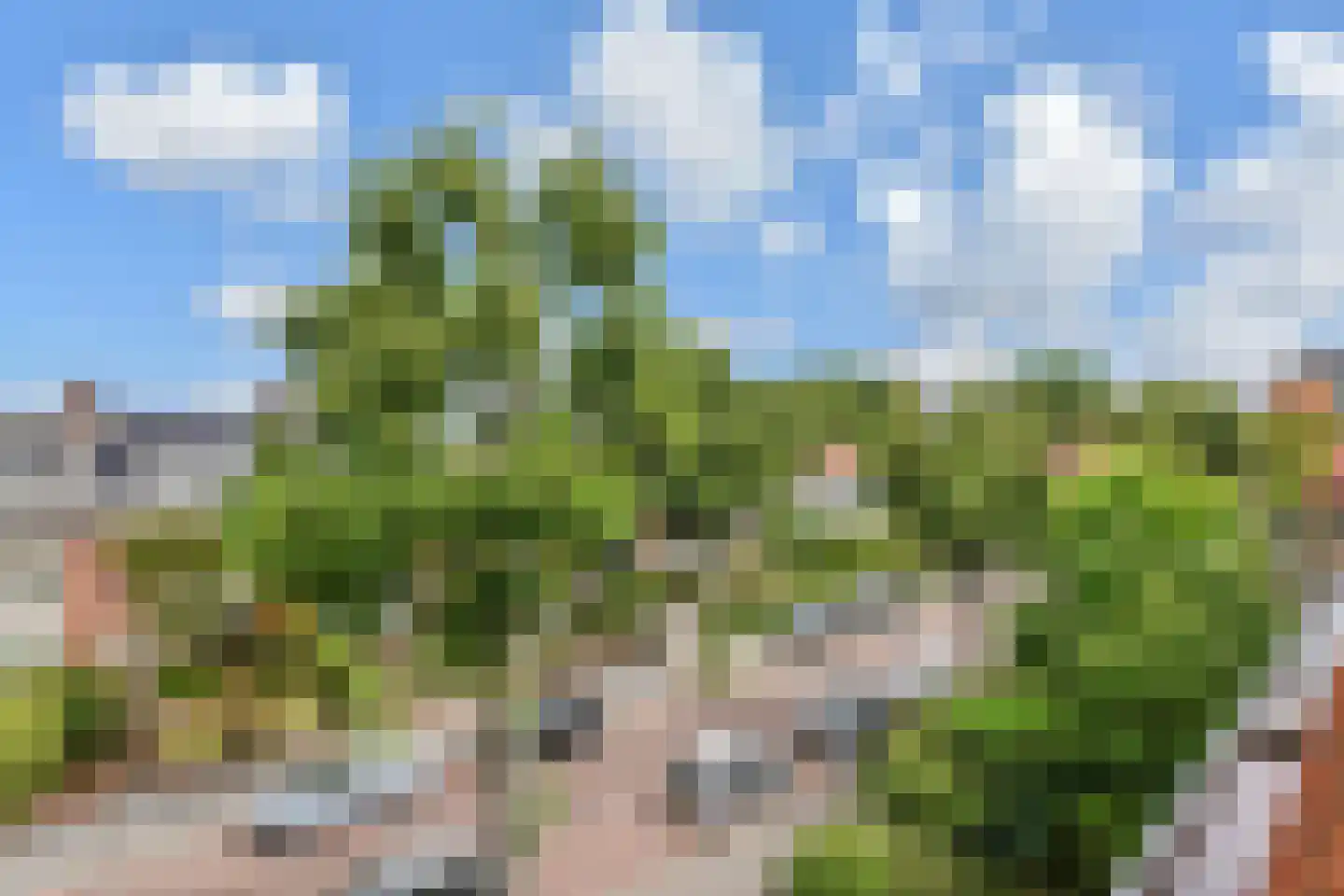 Looierslaan 21 Voorburg thumbnail 32