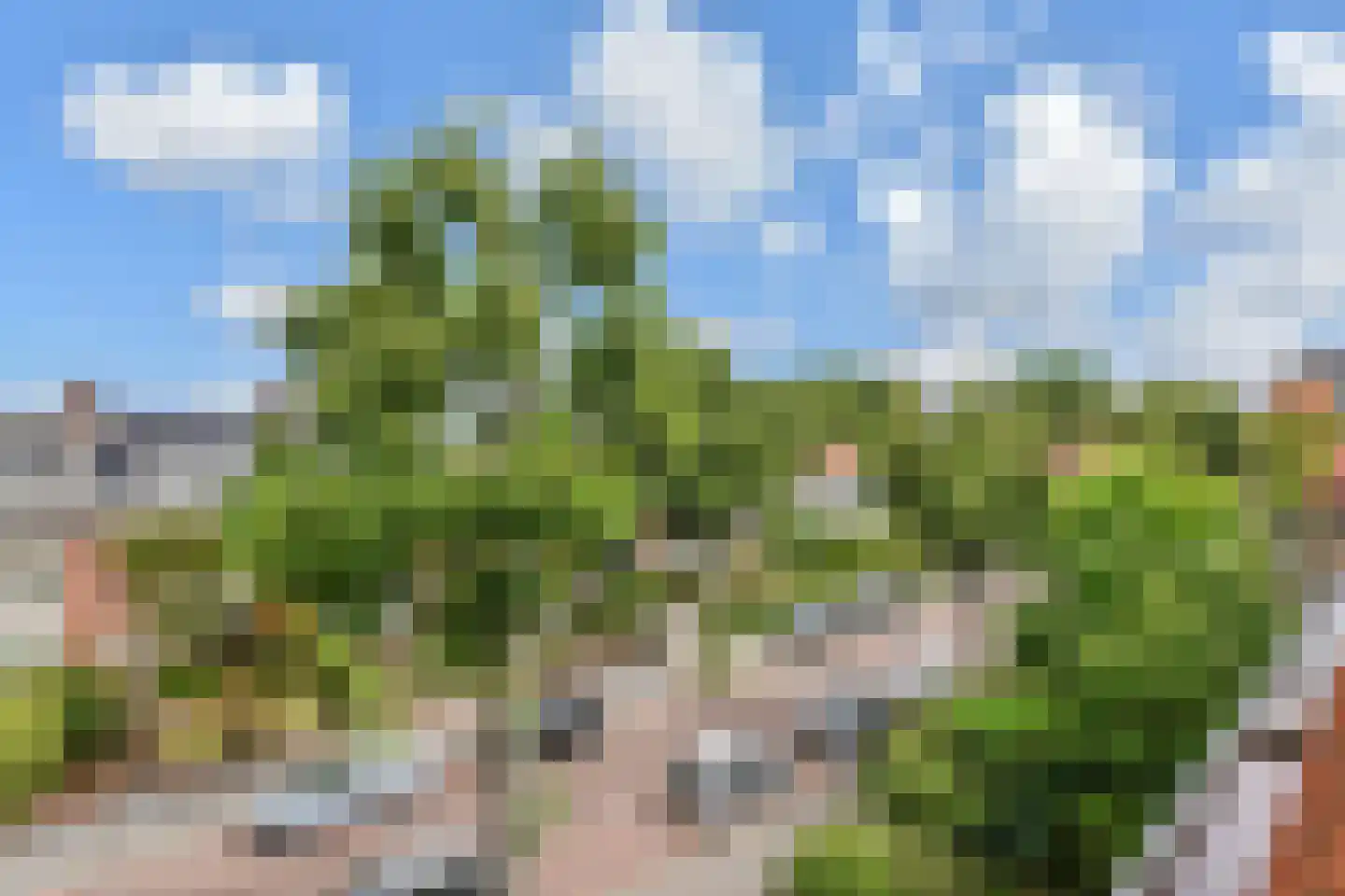 Looierslaan 21 Voorburg thumbnail 32