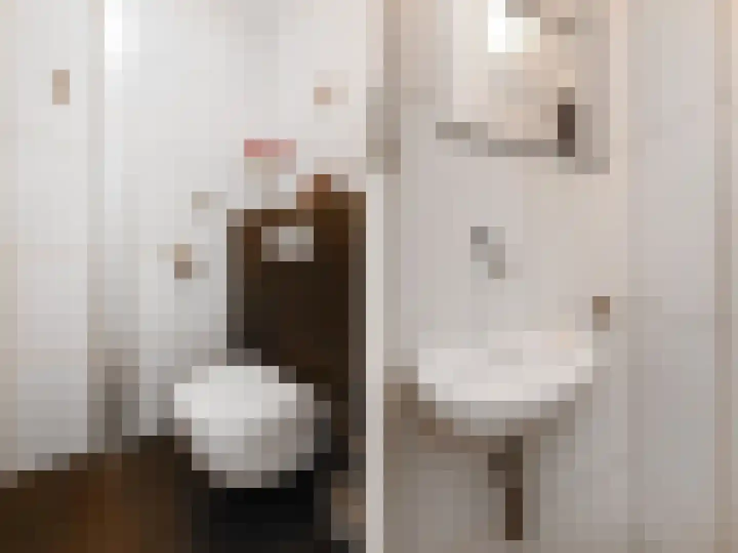 Looierslaan 21 Voorburg thumbnail 33