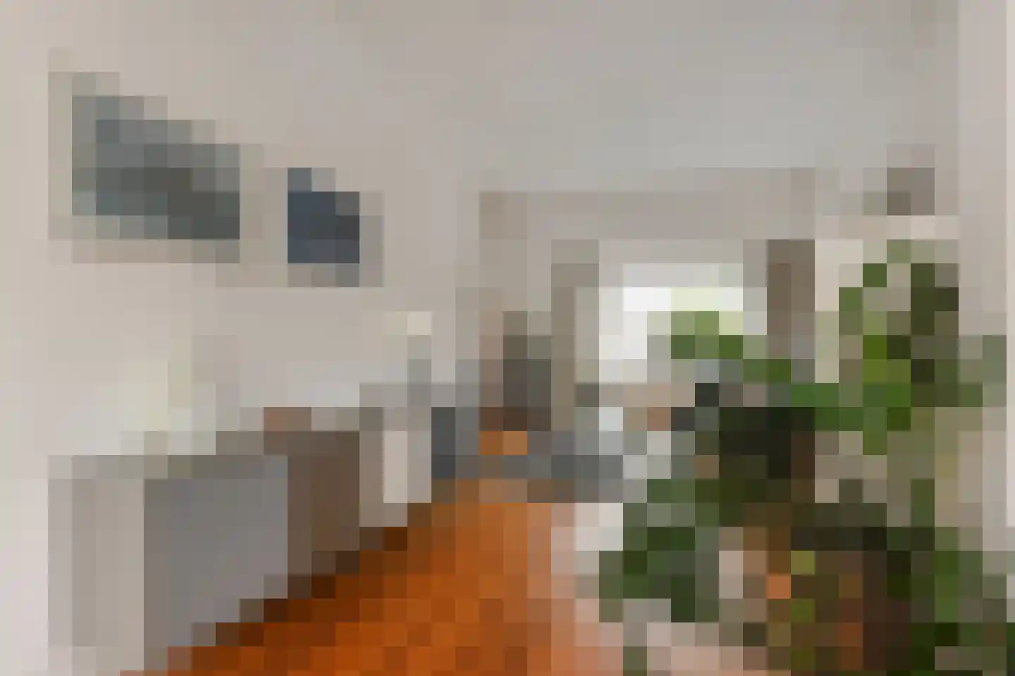 Looierslaan 21 Voorburg thumbnail 6