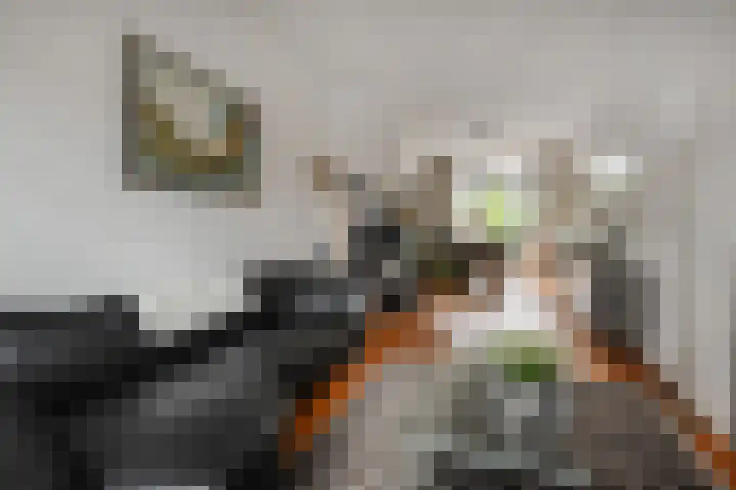 Looierslaan 21 Voorburg thumbnail 8