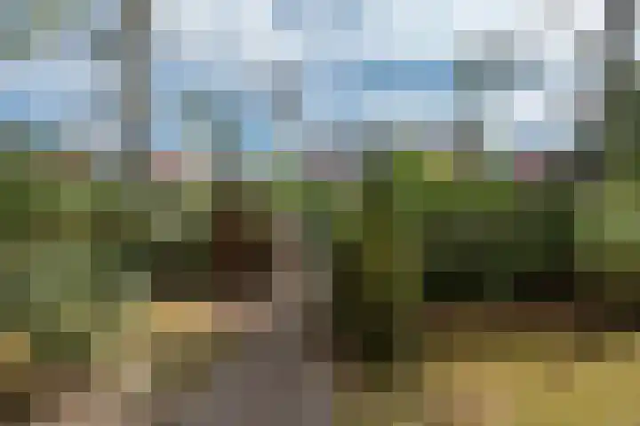 Looierslaan 25 Voorburg thumbnail 11