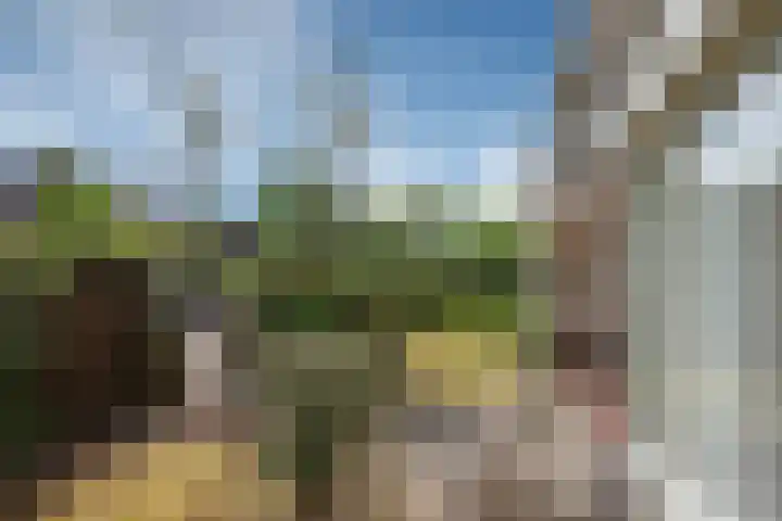 Looierslaan 25 Voorburg thumbnail 12