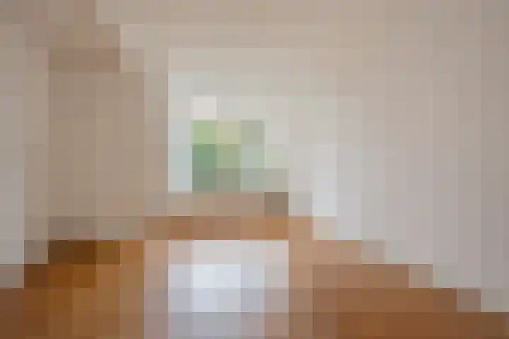 Looierslaan 25 Voorburg thumbnail 16
