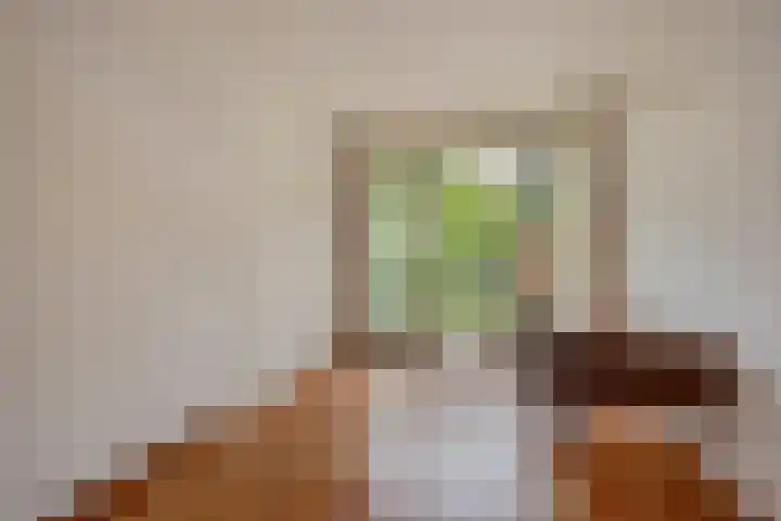 Looierslaan 25 Voorburg thumbnail 22