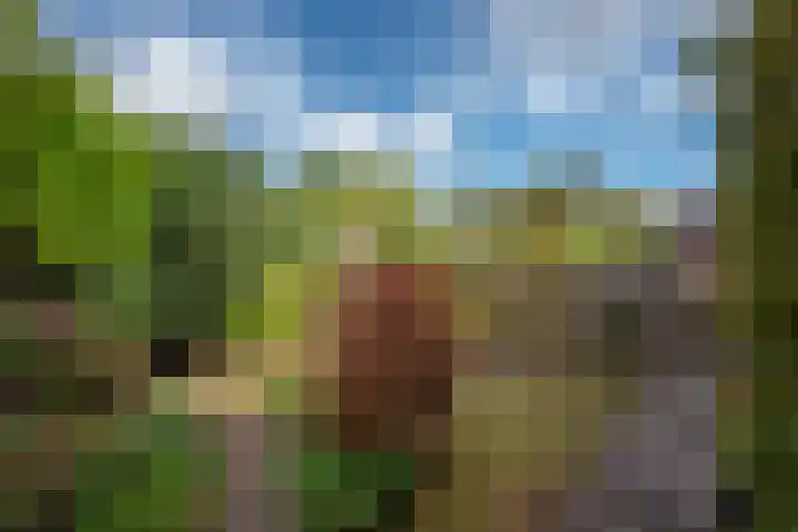 Looierslaan 25 Voorburg thumbnail 24