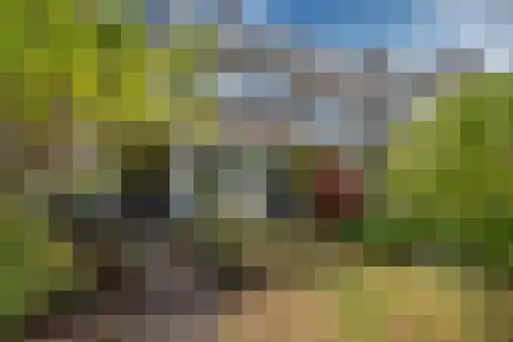 Looierslaan 25 Voorburg thumbnail 27