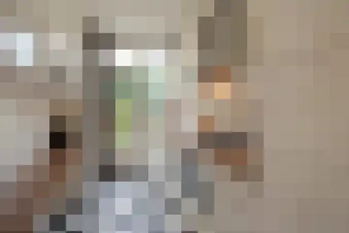 Looierslaan 25 Voorburg thumbnail 28