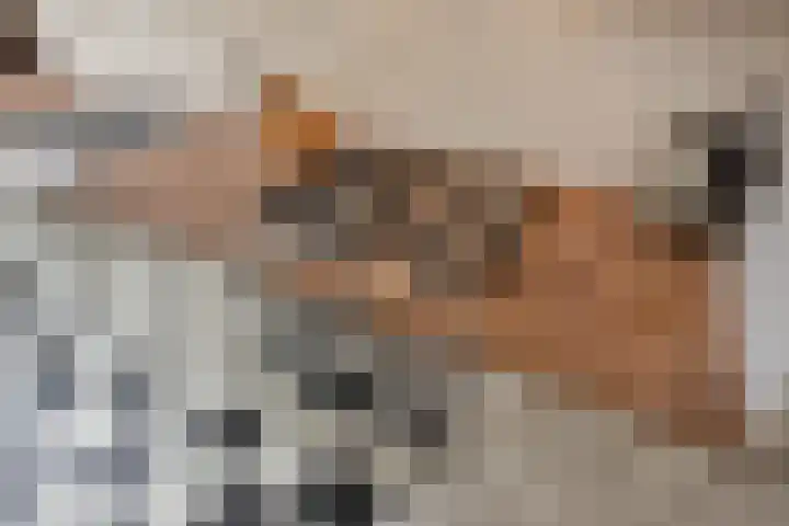 Looierslaan 25 Voorburg thumbnail 29