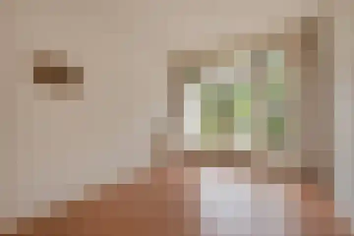 Looierslaan 25 Voorburg thumbnail 33