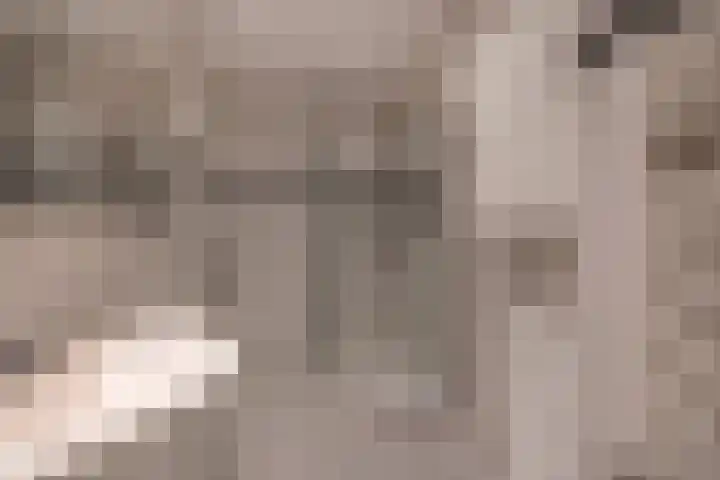 Looierslaan 25 Voorburg thumbnail 36