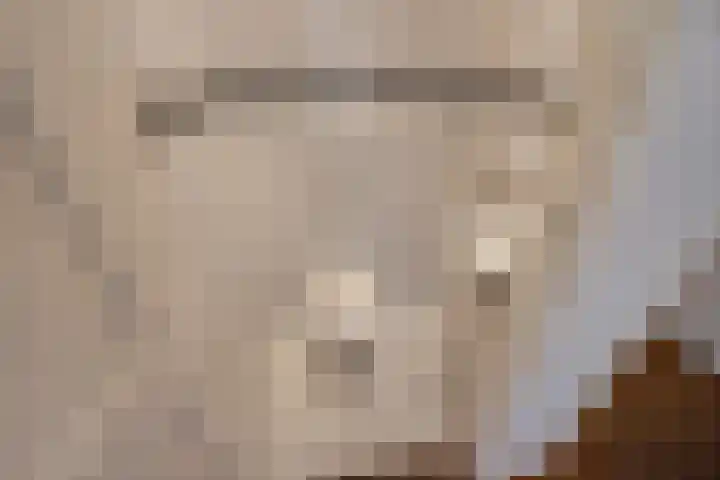 Looierslaan 25 Voorburg thumbnail 37