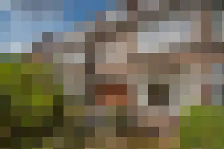 Looierslaan 25 Voorburg thumbnail 8