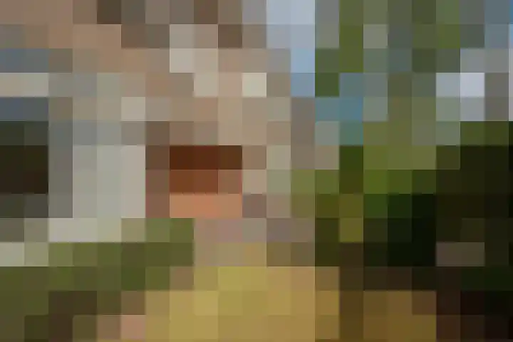 Looierslaan 25 Voorburg thumbnail 9
