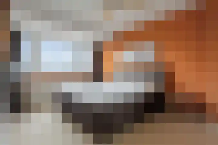 Looierslaan 43 Voorburg thumbnail 19