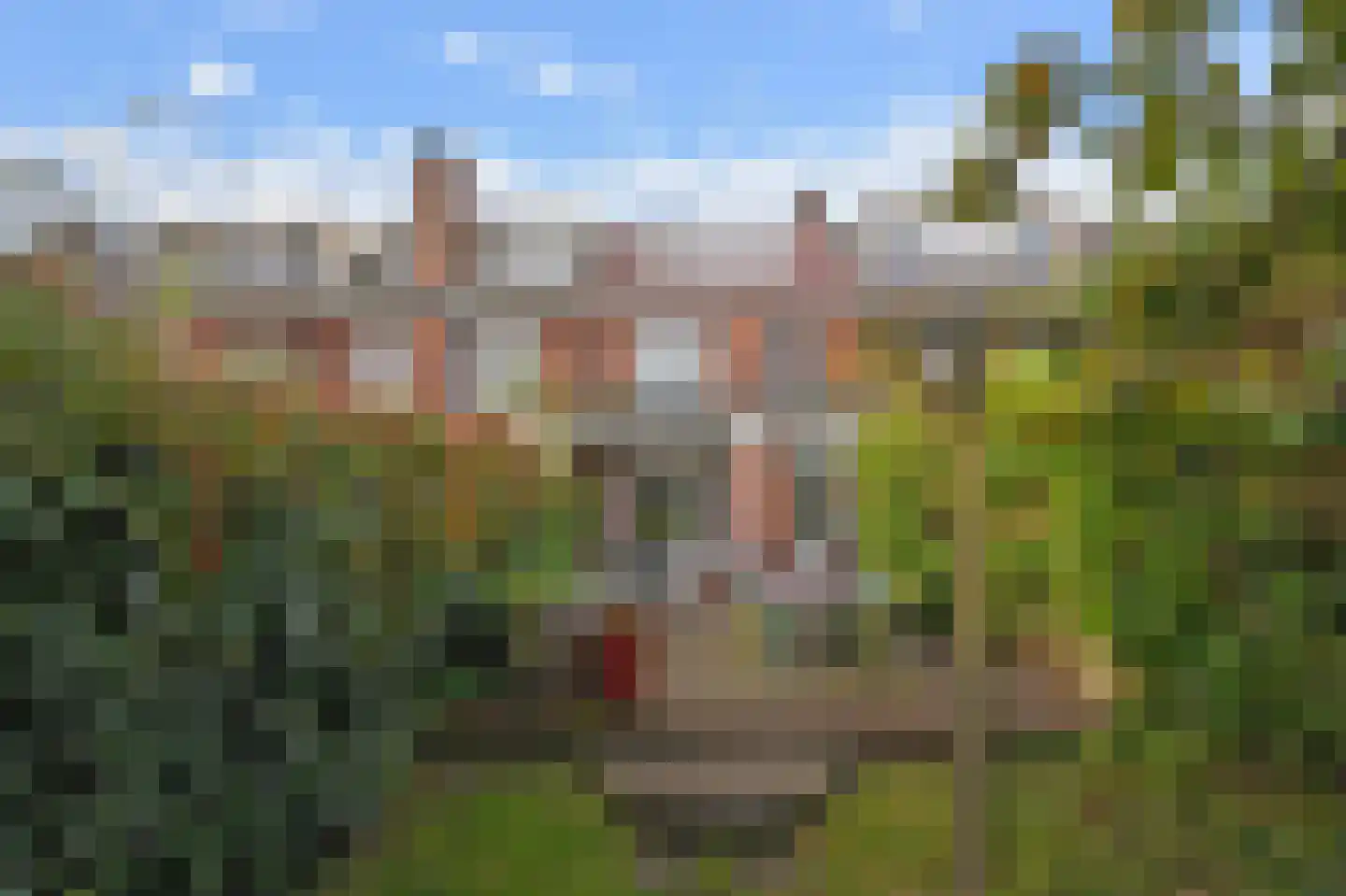Looierslaan 58 A Leidschendam thumbnail 33