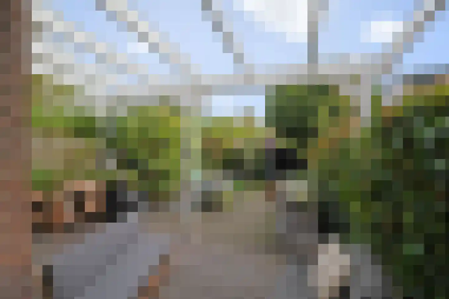 Looierslaan 58 A Leidschendam thumbnail 43