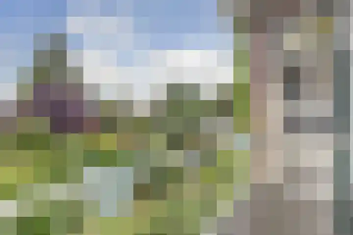 Looierslaan 79 Voorburg thumbnail 15