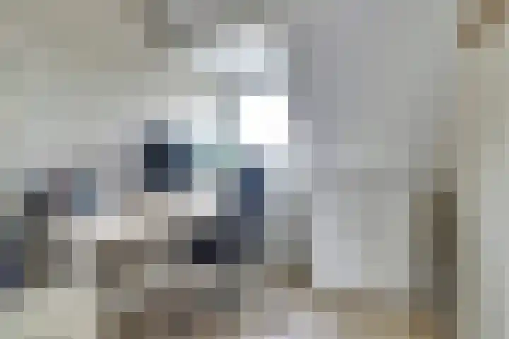 Looierslaan 79 Voorburg thumbnail 25