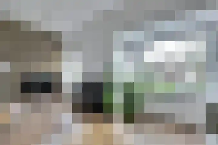 Looierslaan 79 Voorburg thumbnail 7