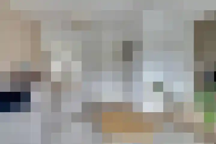Looierslaan 79 Voorburg thumbnail 9