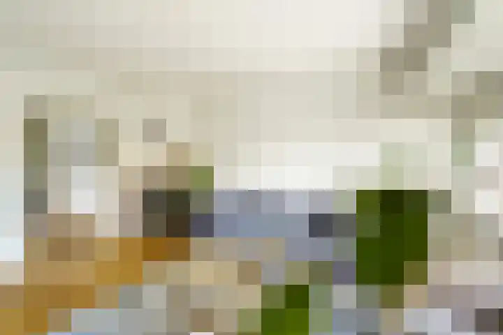 Looierslaan 81 Voorburg thumbnail 11