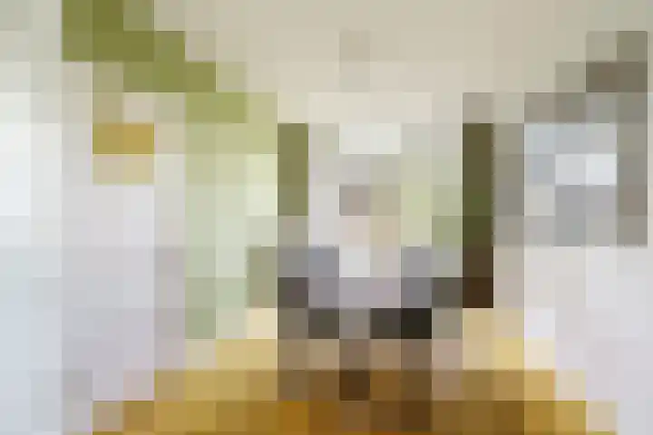 Looierslaan 81 Voorburg thumbnail 14
