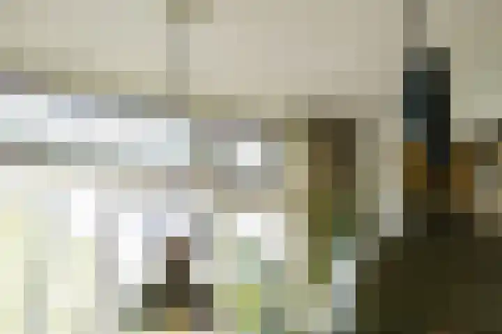 Looierslaan 81 Voorburg thumbnail 17