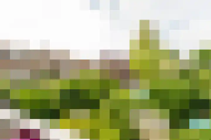 Looierslaan 81 Voorburg thumbnail 19