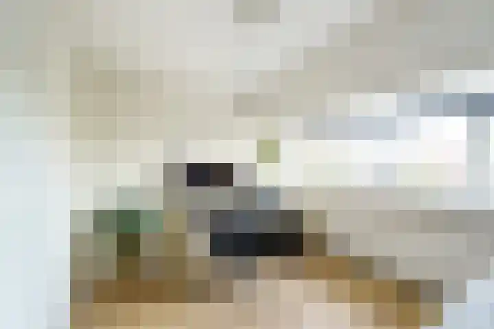 Looierslaan 81 Voorburg thumbnail 23