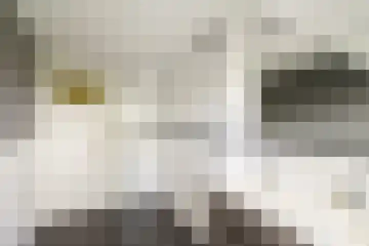 Looierslaan 81 Voorburg thumbnail 27