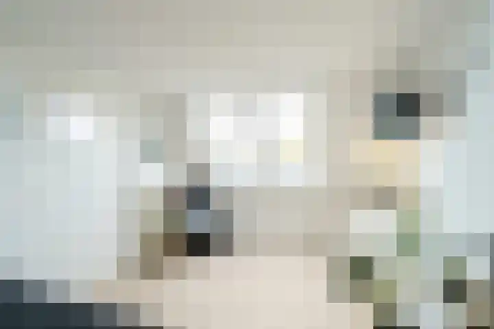 Looierslaan 81 Voorburg thumbnail 31