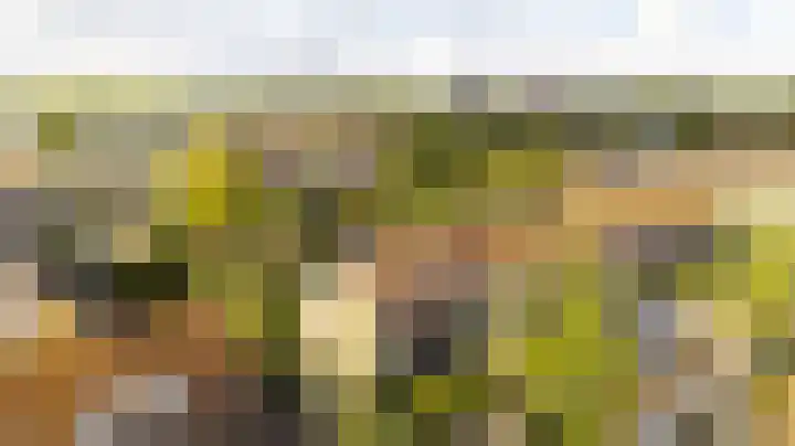 Looierslaan 81 Voorburg thumbnail 34