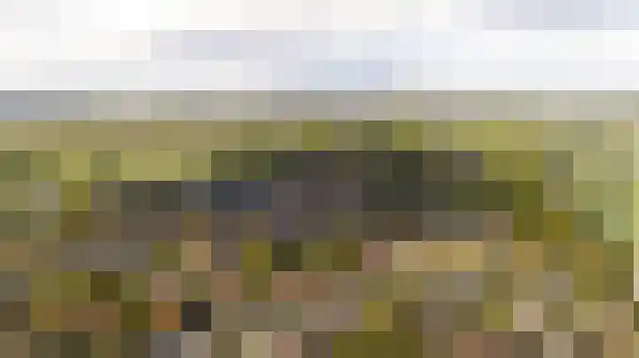 Looierslaan 81 Voorburg thumbnail 35