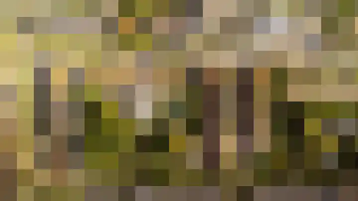 Looierslaan 81 Voorburg thumbnail 38