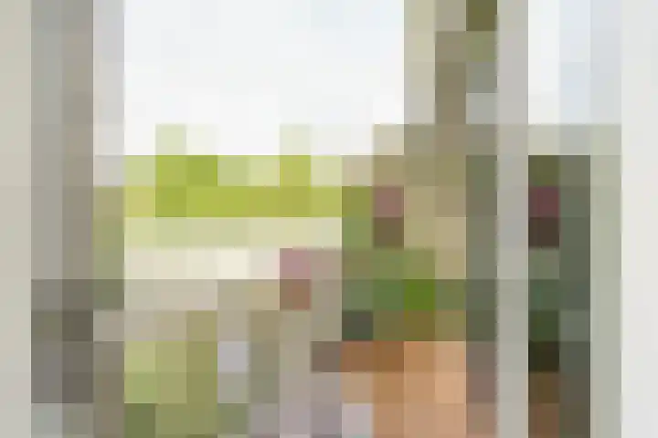Looierslaan 81 Voorburg thumbnail 8
