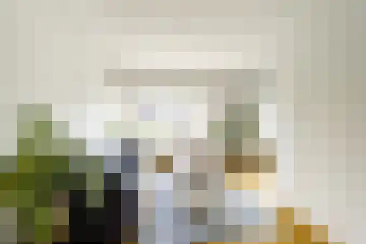 Looierslaan 81 Voorburg thumbnail 9