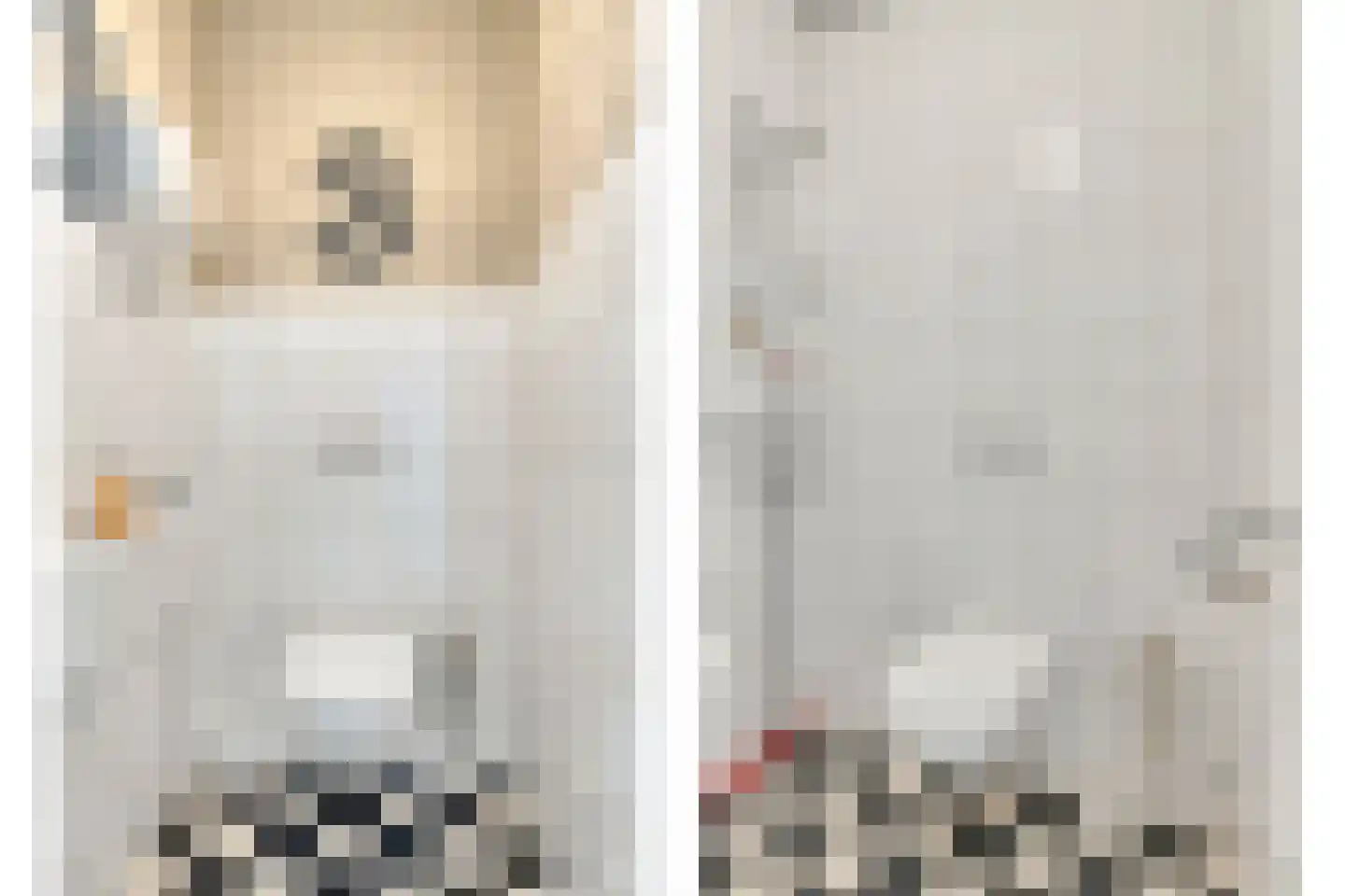 Looiersplantsoen 3 Diepenheim thumbnail 27
